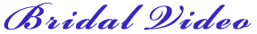 �u���C�_���r�f�I