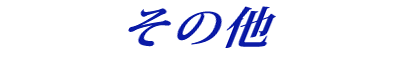 ���̑�